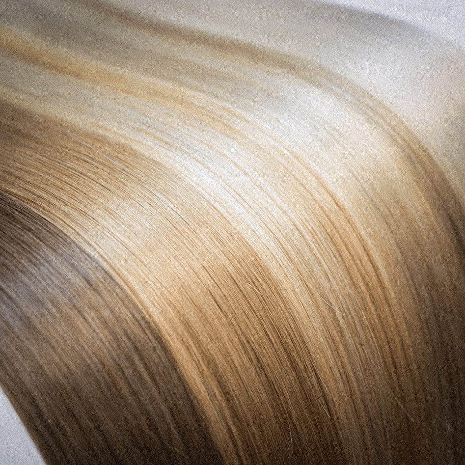 Rooted, Highlighted & Multi-Tonal Shades Explained