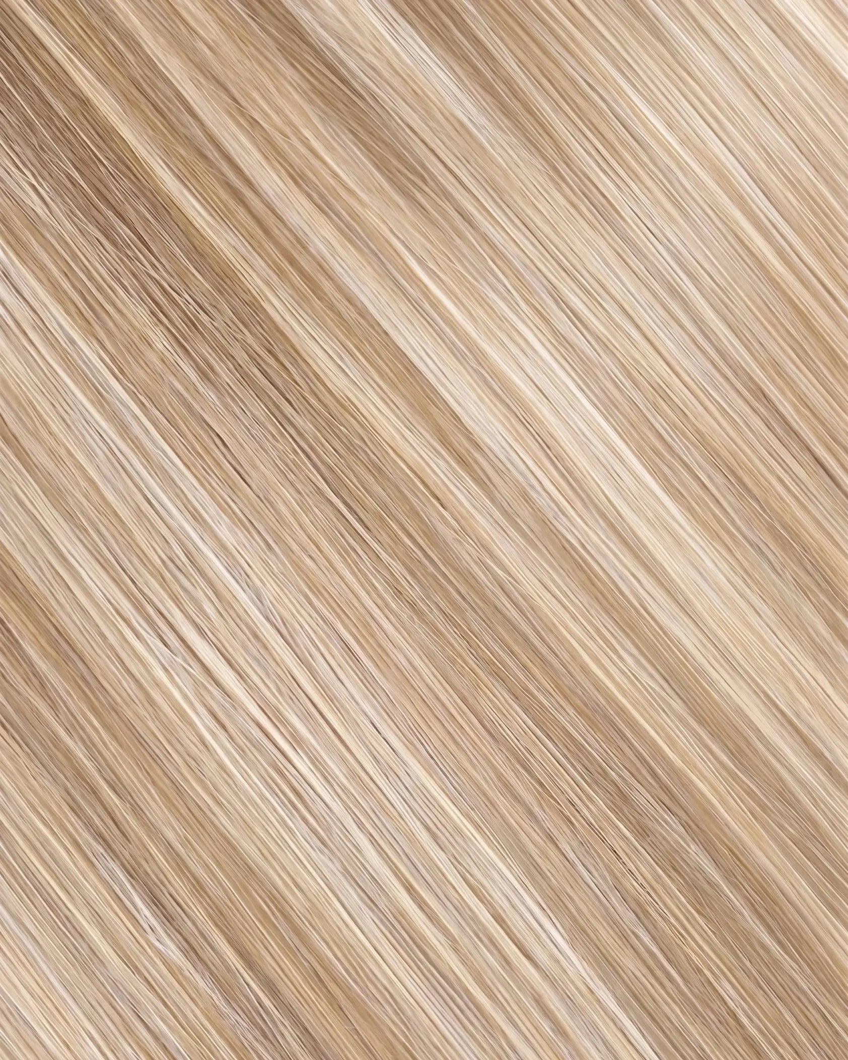 #Color_F12/22