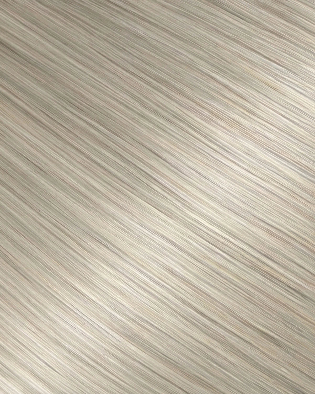 #Color_SL22